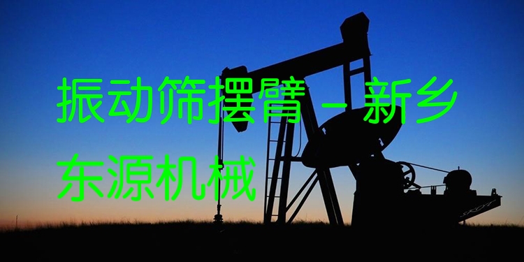 振動篩擺臂 - 新鄉(xiāng)東源機(jī)械