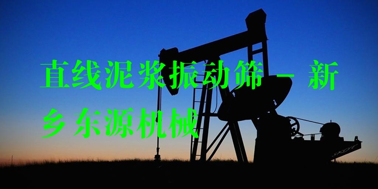 直線泥漿振動篩 - 新鄉(xiāng)東源機(jī)械