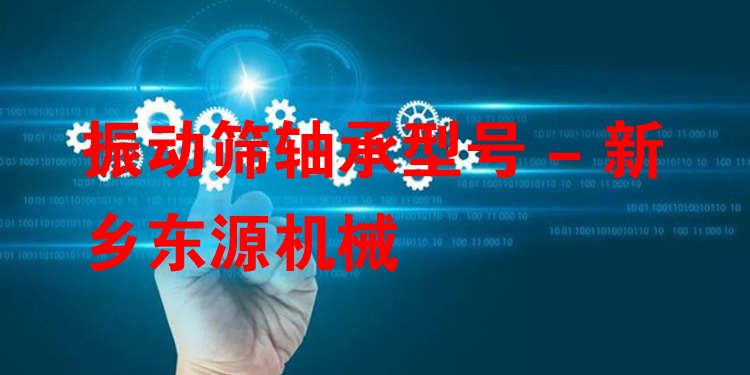 振動(dòng)篩軸承型號 - 新鄉(xiāng)東源機(jī)械