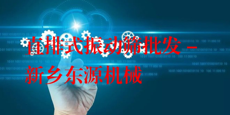 直排式振動篩批發(fā) - 新鄉(xiāng)東源機(jī)械