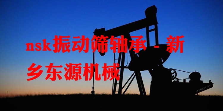 nsk振動篩軸承 - 新鄉(xiāng)東源機械