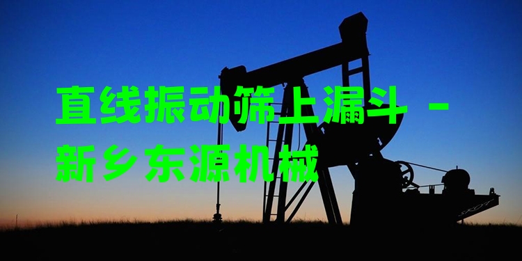 直線振動篩上漏斗 - 新鄉(xiāng)東源機(jī)械