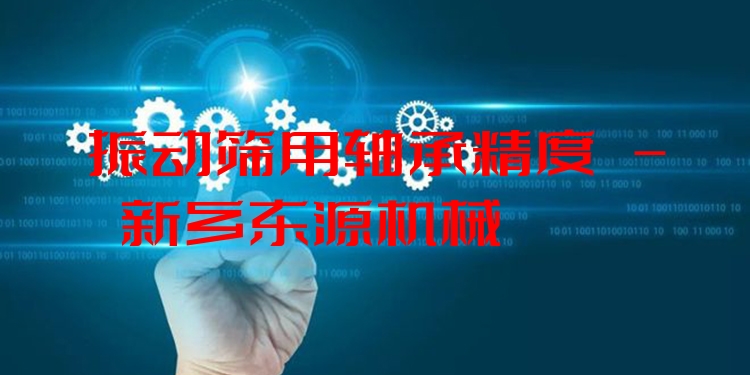 振動篩用軸承精度 - 新鄉(xiāng)東源機械