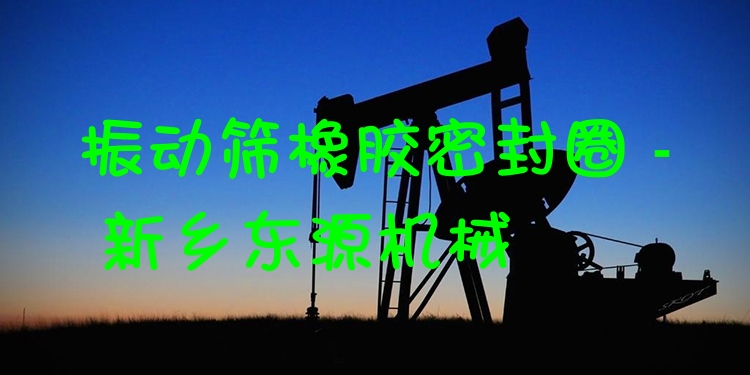 振動篩橡膠密封圈 - 新鄉(xiāng)東源機(jī)械