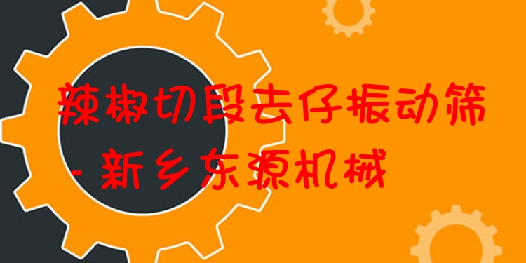 辣椒切段去仔振動(dòng)篩 - 新鄉(xiāng)東源機(jī)械