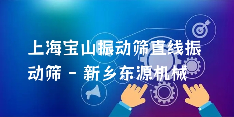 上海寶山振動(dòng)篩直線振動(dòng)篩 - 新鄉(xiāng)東源機(jī)械