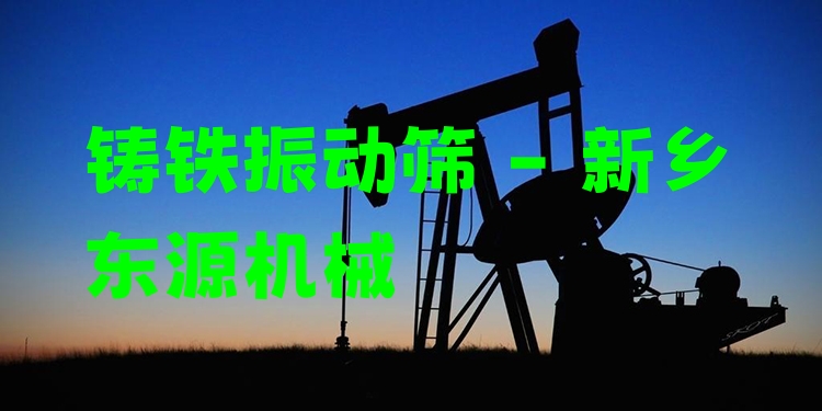 鑄鐵振動篩 - 新鄉(xiāng)東源機(jī)械