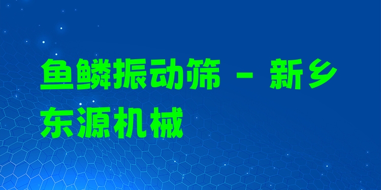 魚鱗振動(dòng)篩 - 新鄉(xiāng)東源機(jī)械