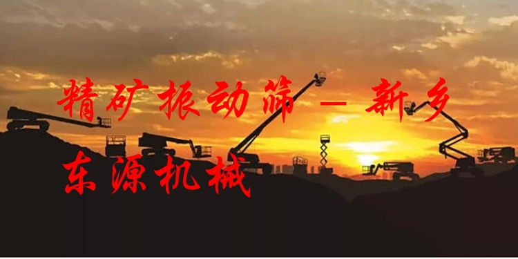 精礦振動篩 - 新鄉(xiāng)東源機械