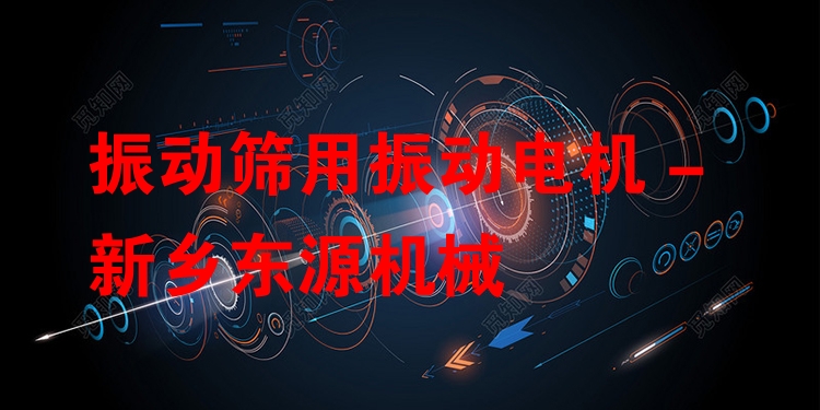 振動(dòng)篩用振動(dòng)電機(jī) - 新鄉(xiāng)東源機(jī)械