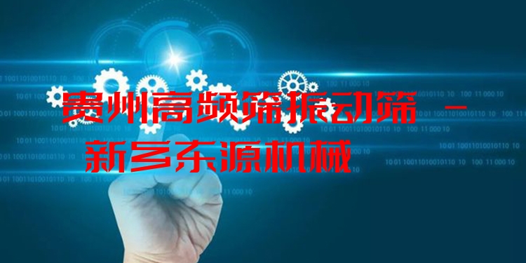 貴州高頻篩振動(dòng)篩 - 新鄉(xiāng)東源機(jī)械
