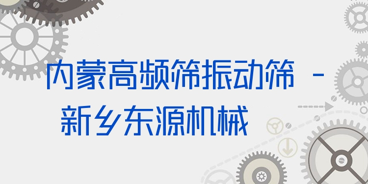 內(nèi)蒙高頻篩振動(dòng)篩 - 新鄉(xiāng)東源機(jī)械