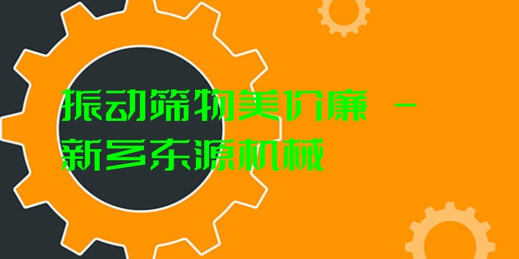 振動(dòng)篩物美價(jià)廉 - 新鄉(xiāng)東源機(jī)械