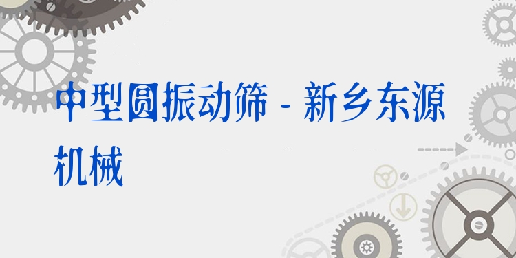 中型圓振動(dòng)篩 - 新鄉(xiāng)東源機(jī)械