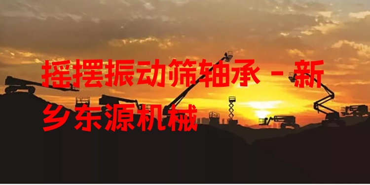 搖擺振動(dòng)篩軸承 - 新鄉(xiāng)東源機(jī)械