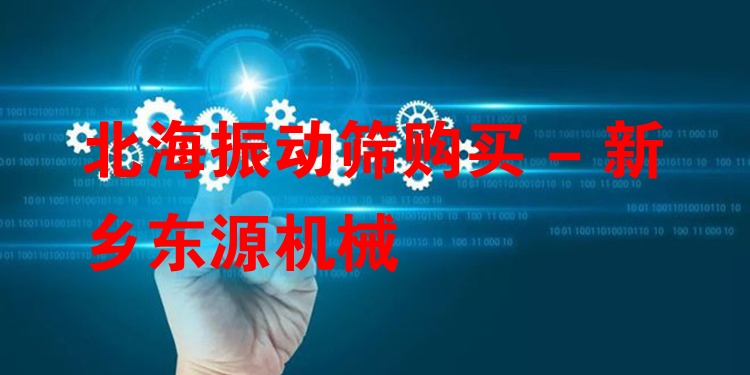 北海振動篩購買 - 新鄉(xiāng)東源機械