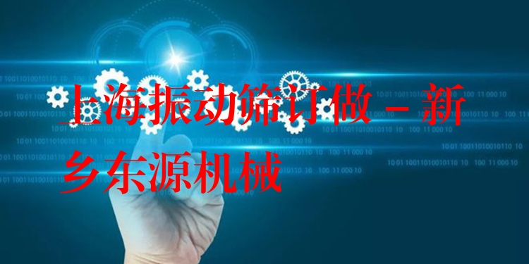 上海振動(dòng)篩訂做 - 新鄉(xiāng)東源機(jī)械