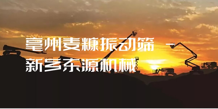 亳州麥糠振動篩 - 新鄉(xiāng)東源機(jī)械