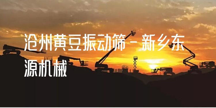 滄州黃豆振動篩 - 新鄉(xiāng)東源機械