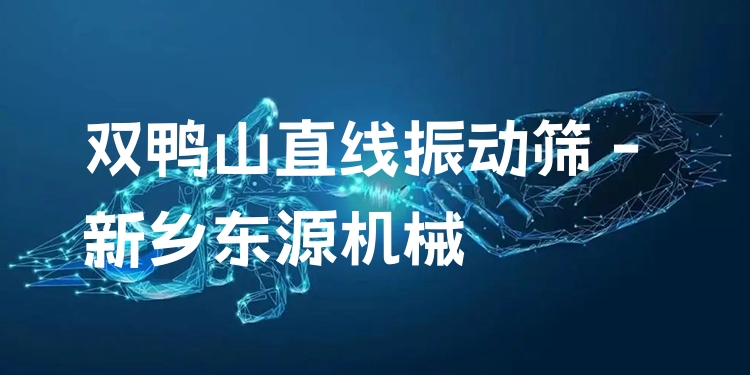 雙鴨山直線振動篩 - 新鄉(xiāng)東源機(jī)械
