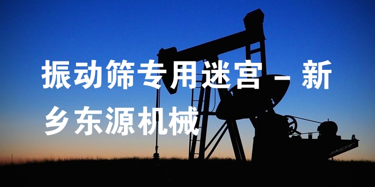 振動(dòng)篩專用迷宮 - 新鄉(xiāng)東源機(jī)械