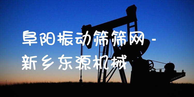阜陽(yáng)振動(dòng)篩篩網(wǎng) - 新鄉(xiāng)東源機(jī)械