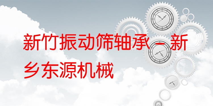 新竹振動篩軸承 - 新鄉(xiāng)東源機械