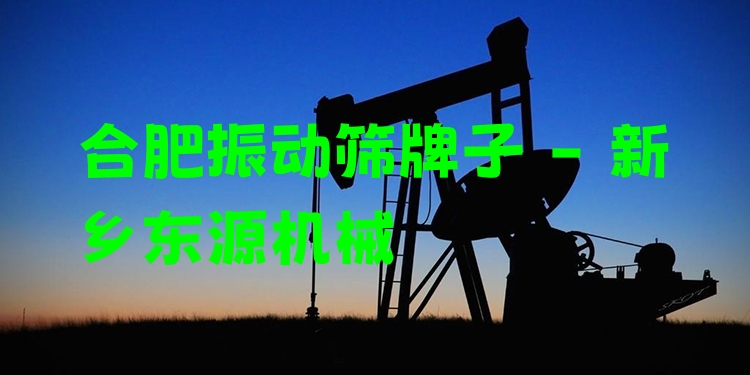 合肥振動(dòng)篩牌子 - 新鄉(xiāng)東源機(jī)械