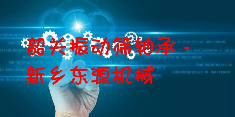 韶關(guān)振動(dòng)篩軸承 - 新鄉(xiāng)東源機(jī)械