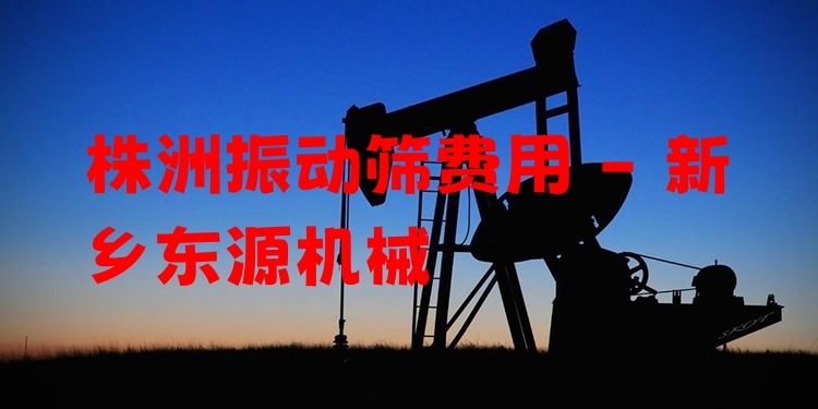 株洲振動(dòng)篩費(fèi)用 - 新鄉(xiāng)東源機(jī)械