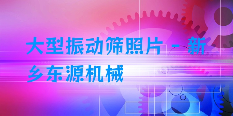 大型振動(dòng)篩照片 - 新鄉(xiāng)東源機(jī)械