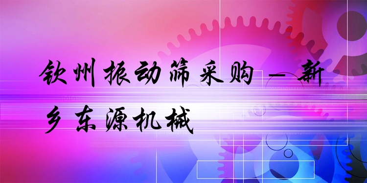 欽州振動篩采購 - 新鄉(xiāng)東源機(jī)械
