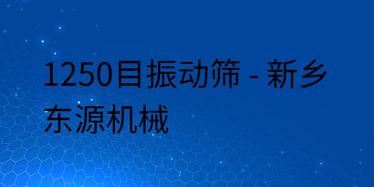 1250目振動(dòng)篩 - 新鄉(xiāng)東源機(jī)械