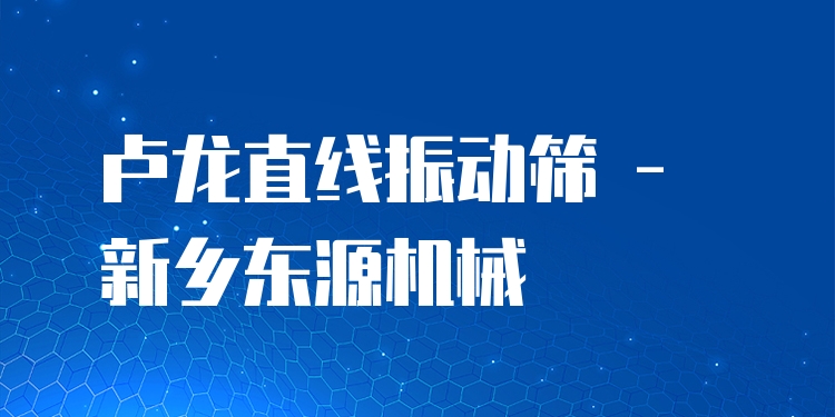 盧龍直線振動(dòng)篩 - 新鄉(xiāng)東源機(jī)械