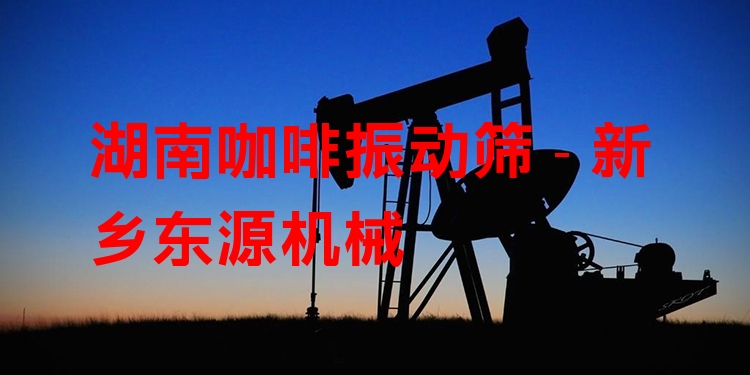 湖南咖啡振動(dòng)篩 - 新鄉(xiāng)東源機(jī)械
