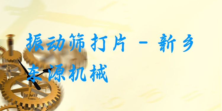 振動(dòng)篩打片 - 新鄉(xiāng)東源機(jī)械