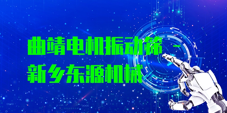 曲靖電機(jī)振動(dòng)篩 - 新鄉(xiāng)東源機(jī)械