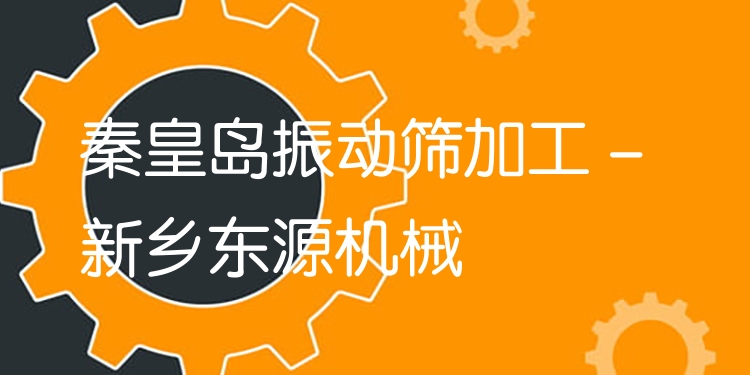 秦皇島振動篩加工 - 新鄉(xiāng)東源機(jī)械