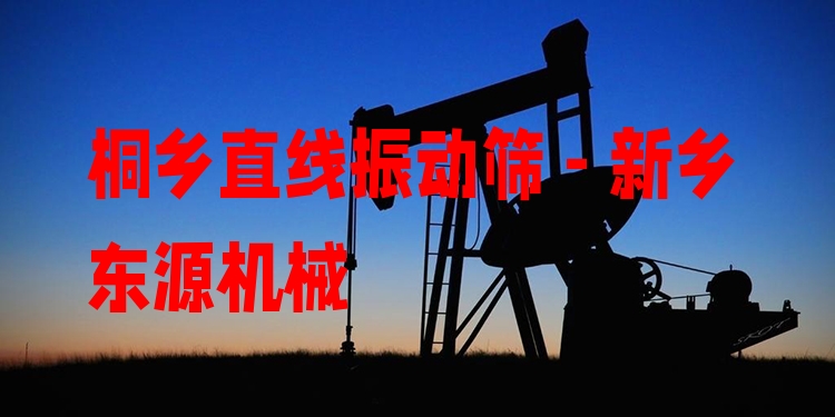 桐鄉(xiāng)直線振動篩 - 新鄉(xiāng)東源機械