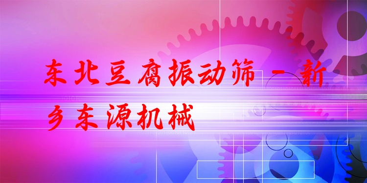 東北豆腐振動篩 - 新鄉(xiāng)東源機械