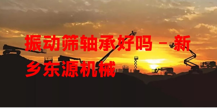 振動篩軸承好嗎 - 新鄉(xiāng)東源機(jī)械
