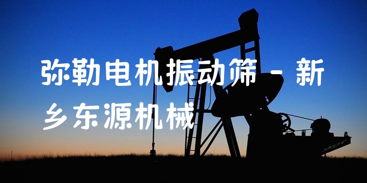 彌勒電機(jī)振動(dòng)篩 - 新鄉(xiāng)東源機(jī)械
