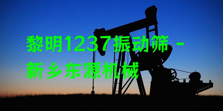 黎明1237振動篩 - 新鄉(xiāng)東源機(jī)械