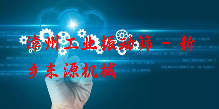 漳州工業(yè)振動(dòng)篩 - 新鄉(xiāng)東源機(jī)械