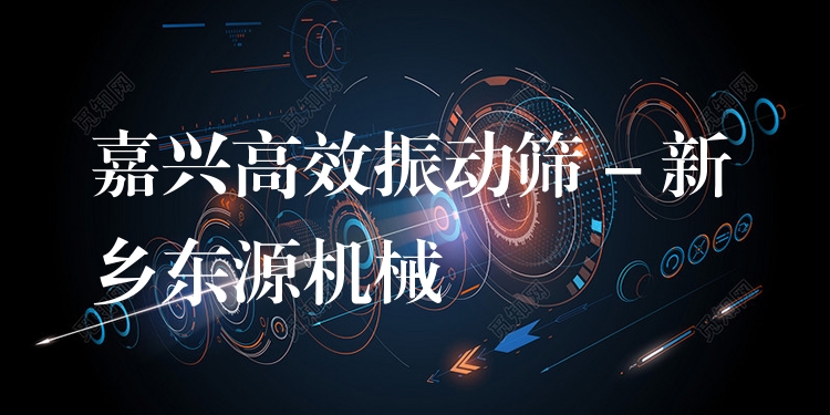 嘉興***振動(dòng)篩 - 新鄉(xiāng)東源機(jī)械