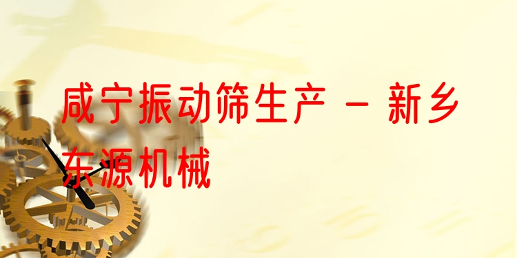 咸寧振動(dòng)篩生產(chǎn) - 新鄉(xiāng)東源機(jī)械
