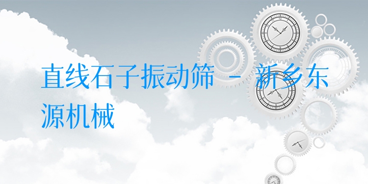 直線石子振動(dòng)篩 - 新鄉(xiāng)東源機(jī)械