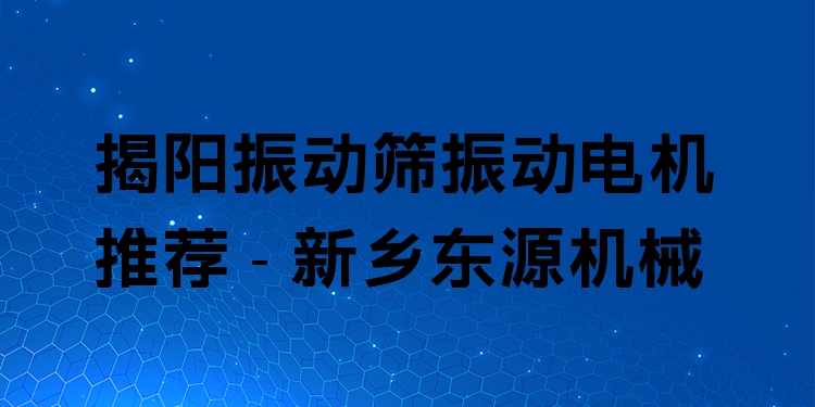 揭陽振動篩振動電機(jī)推薦 - 新鄉(xiāng)東源機(jī)械