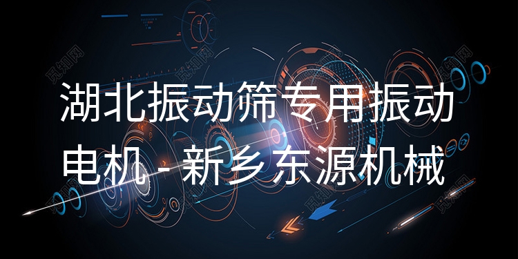 湖北振動篩專用振動電機 - 新鄉(xiāng)東源機械