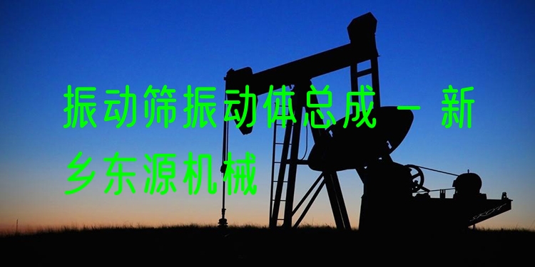 振動篩振動體總成 - 新鄉(xiāng)東源機(jī)械